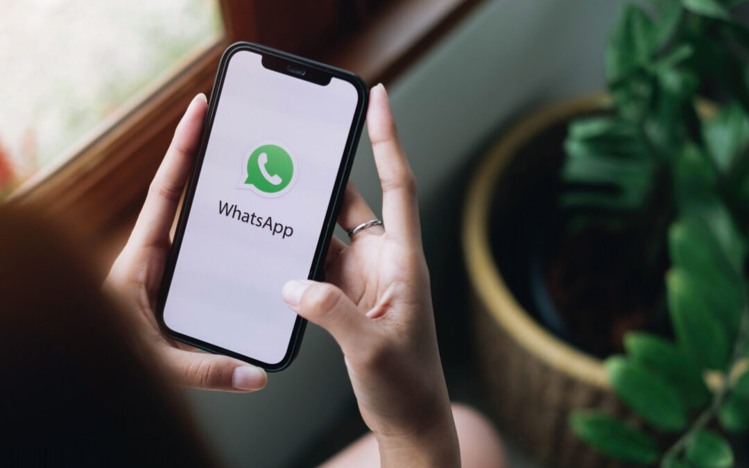 O que você precisa saber sobre chatbot WhatsApp com Zendesk